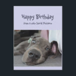 Carte Postale Funny Social Distance Birthday Great Dane Dog<br><div class="desc">Drôle social Distancing Birthday Card avec un joli repos,  allongé autour,  ne faisant rien Great Dane Dog. Inside verse : Assurez-vous de ne pas surfaire la fête cette année. Grande carte pour cette personne spéciale avec un sens de l'humour ou qui aime les grands Danois,  les chiens et l'humour</div>