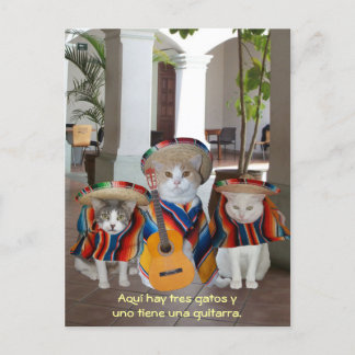 Carte Postale Funny Tres Gatos Espagnol aide pédagogique