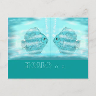 Carte Postale Für Discus-Freunde...carte postale