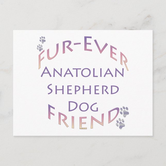 Carte Postale Furever de Chien de Berger Anatolien (Devant)