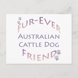 Carte Postale Furever de chien de bétail australien