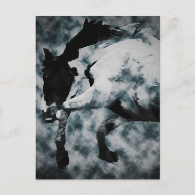 Carte Postale Furie (Devant)