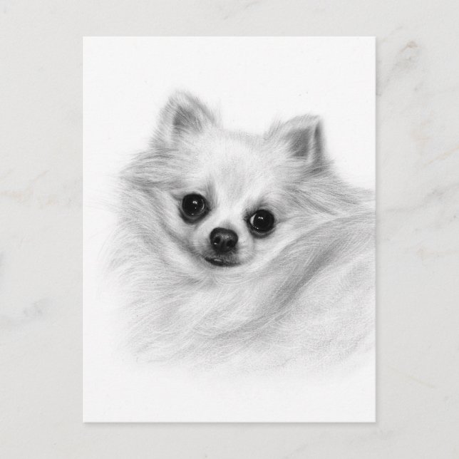 Carte Postale Furry Majesty - Main originale peinte Chihuahua (Devant)