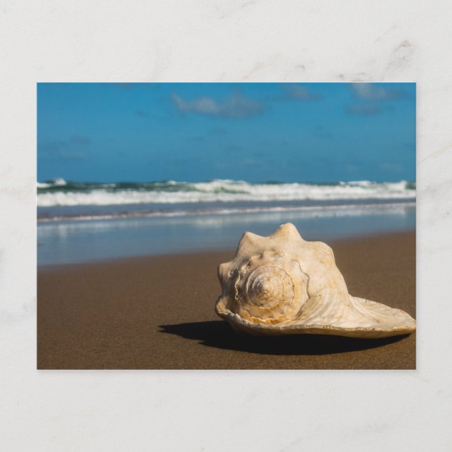 Carte Postale Future Beach (Devant)