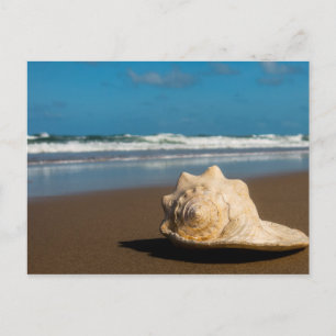 Carte Postale Future Beach