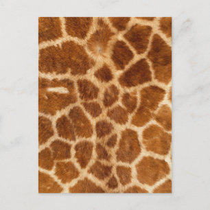 Carte Postale Fuzzy Giraffe Motif de fourrure