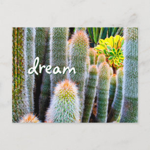 Carte Postale Fuzzy Green Cactus Dream Script élégant moderne