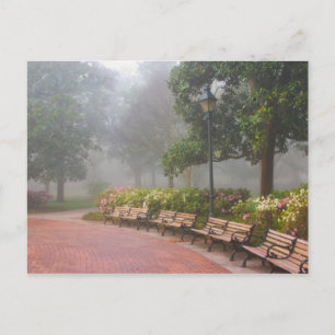 Carte Postale GA Savannah, Azaleas, le long du trottoir en briqu