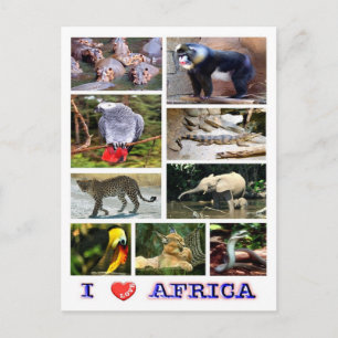 Carte Postale Gabon - I Love Africa -