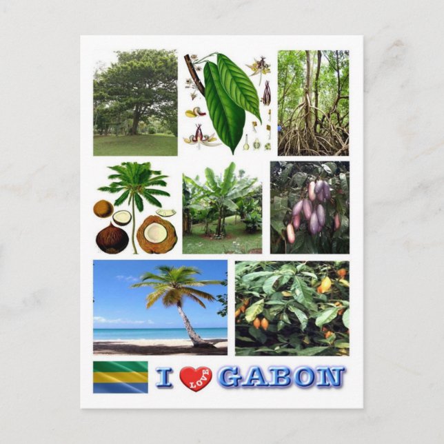 Carte Postale Gabon - I Love Gabon - (Devant)