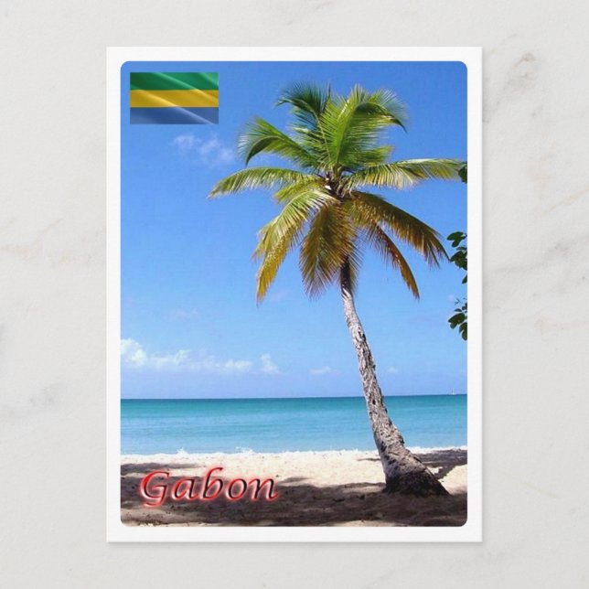 Carte Postale Gabon - Palmier - (Devant)