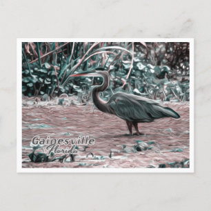 CARTE POSTALE GAINESVILLE FLORIDA