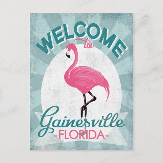Carte Postale Gainesville Florida Flamant rose rose Retro (Devant)