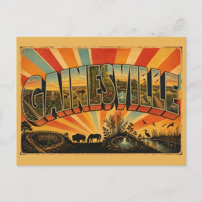 Carte Postale Gainesville Jardins de prairie de Floride Sources  (Devant)