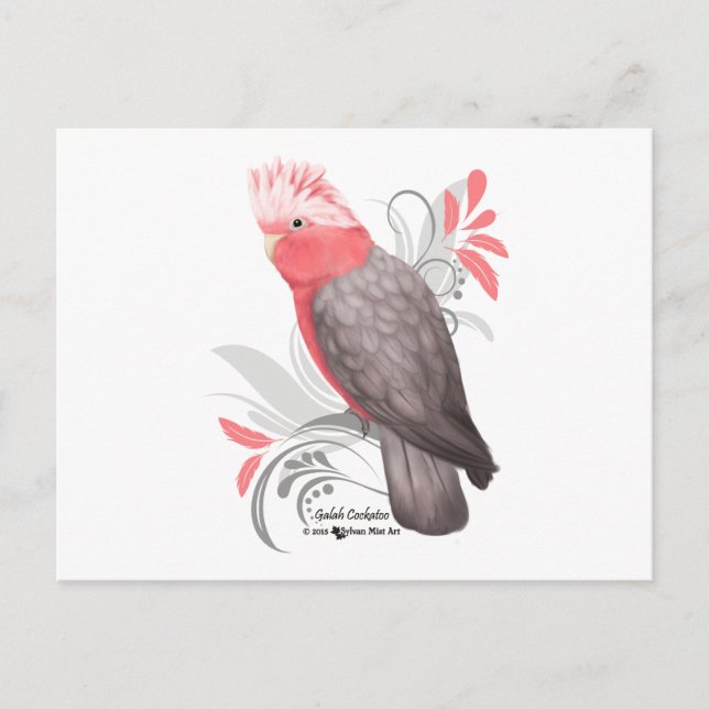 Carte Postale Galah Cockatoo (Devant)