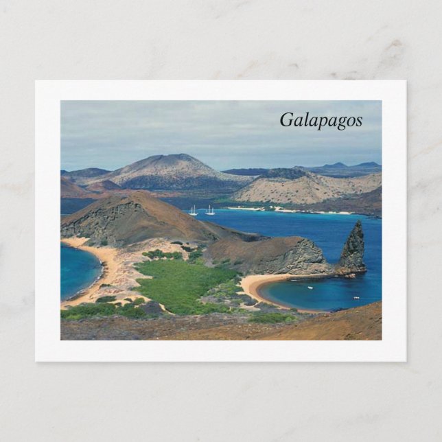Carte Postale Galapagos - Équateur (Devant)