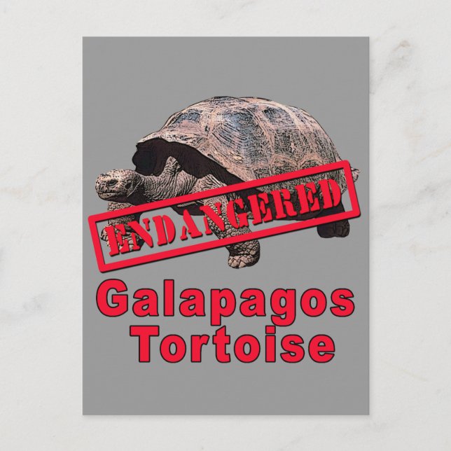 Carte Postale Galapagos Tortoise Tshirts d'art en voie de dispar (Devant)