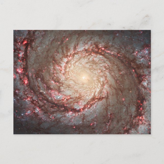 Carte Postale Galaxie du Tourbillon (Devant)