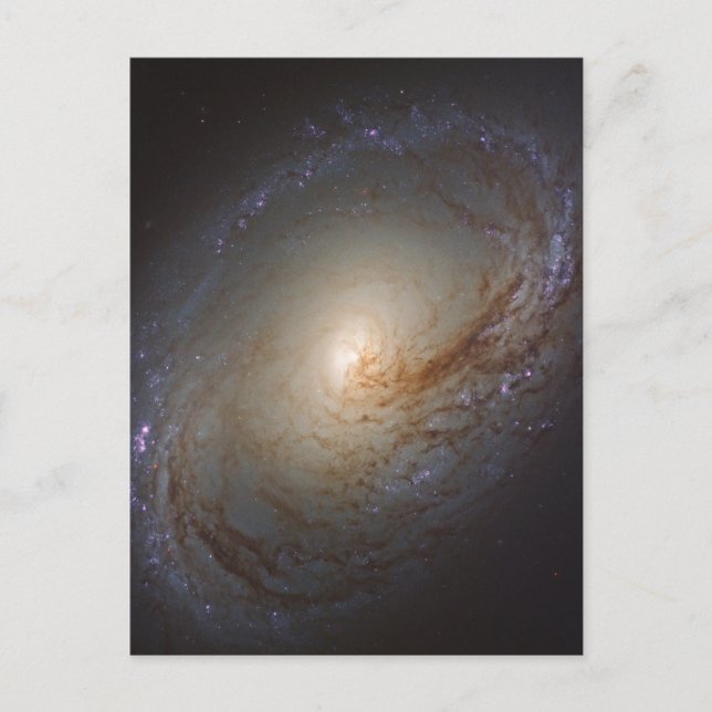 Carte Postale Galaxie lenticulaire barrée Ngc 3368 (Devant)