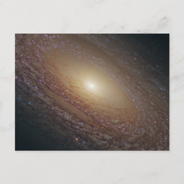 Carte Postale Galaxie spirale Ngc 2841 (Devant)