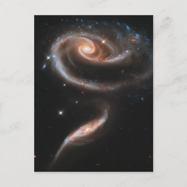 Carte Postale Galaxies en spirale en forme de rose (Devant)