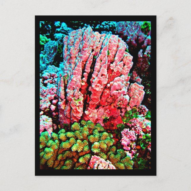 Carte postale - Galerie aquatique-7 (Devant)