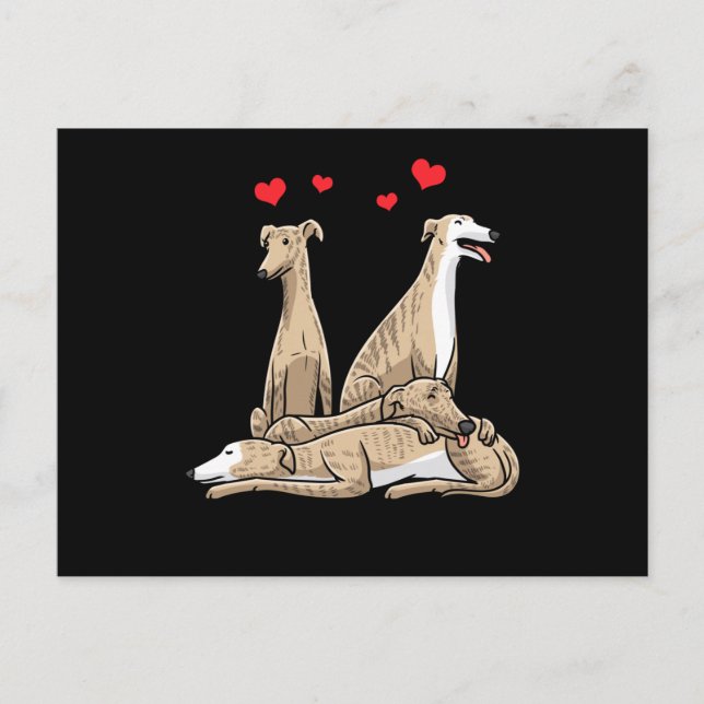 Carte Postale Galgo Español Dog Spanish Sighthound (Devant)