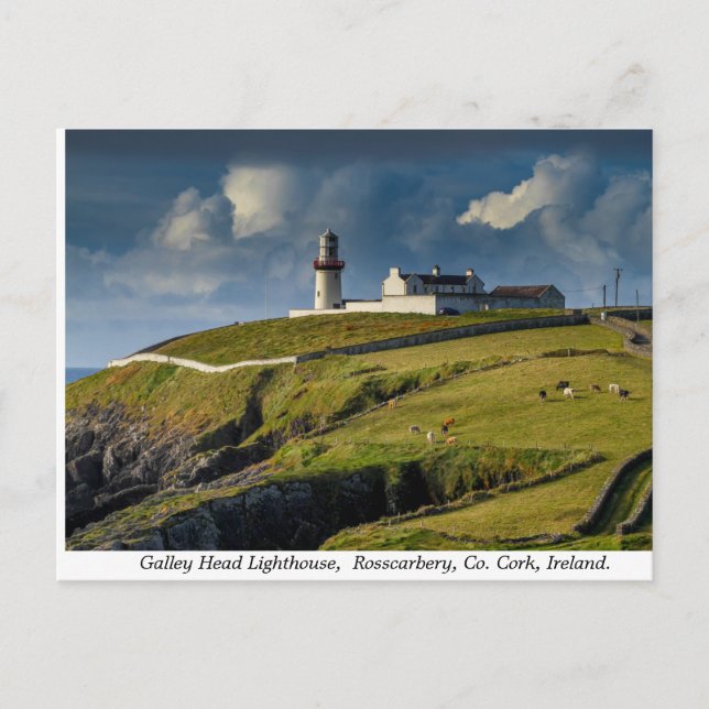 Carte Postale Galley Head Lighthouse, Comté de Cork, Irlande (Devant)