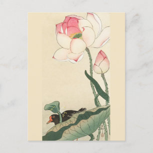 Carte Postale Gallinule avec fleurs de Lotus par Ohara Koson