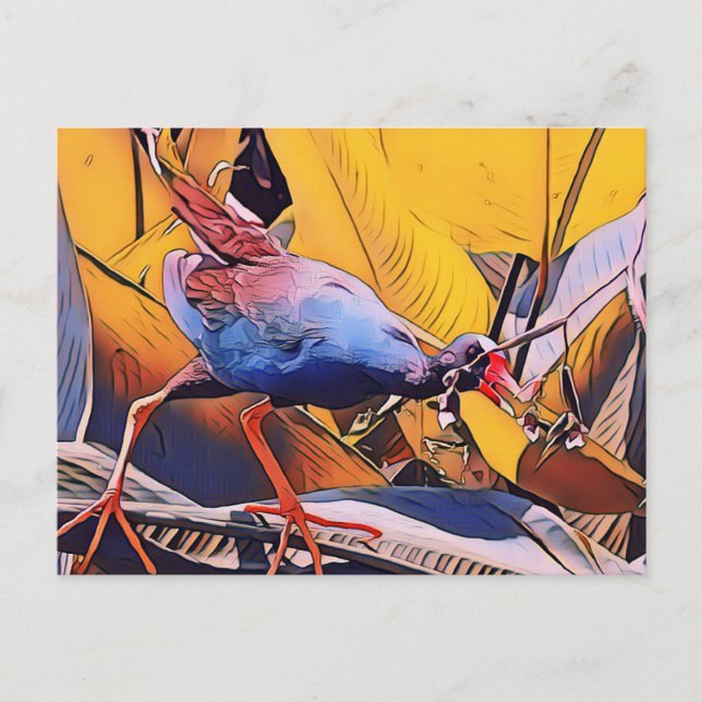 Carte Postale Gallinule violette (Devant)