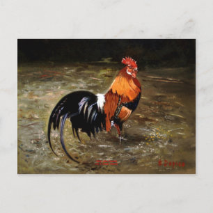Carte Postale Gallo/Galo/Rooster