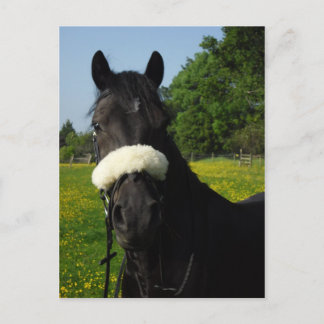 Carte Postale Gallois, section D