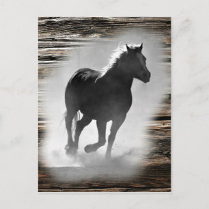 Carte Postale Galloping de Wild Horse