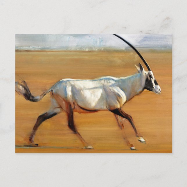 Carte Postale Galloping Oryx 2010 (Devant)