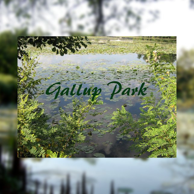 Carte Postale Gallup Park À Ann Arbor (Créateur téléchargé)