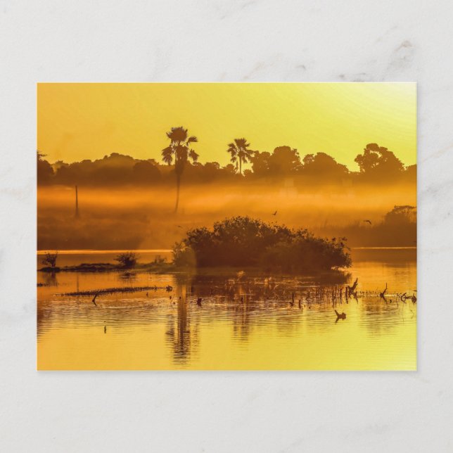 Carte postale Gambia Sunrise (Devant)