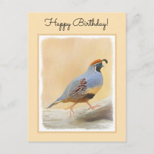 Carte Postale Gambrel's Quail Painting Original Bird Art