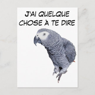 Carte Postale Gamme Perroquet - Gris du Gabon