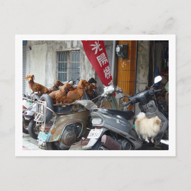 Carte postale Gang of Doxies (Devant)