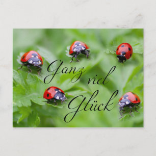 Carte Postale Ganz viel Glück - mit Marienkäfern!