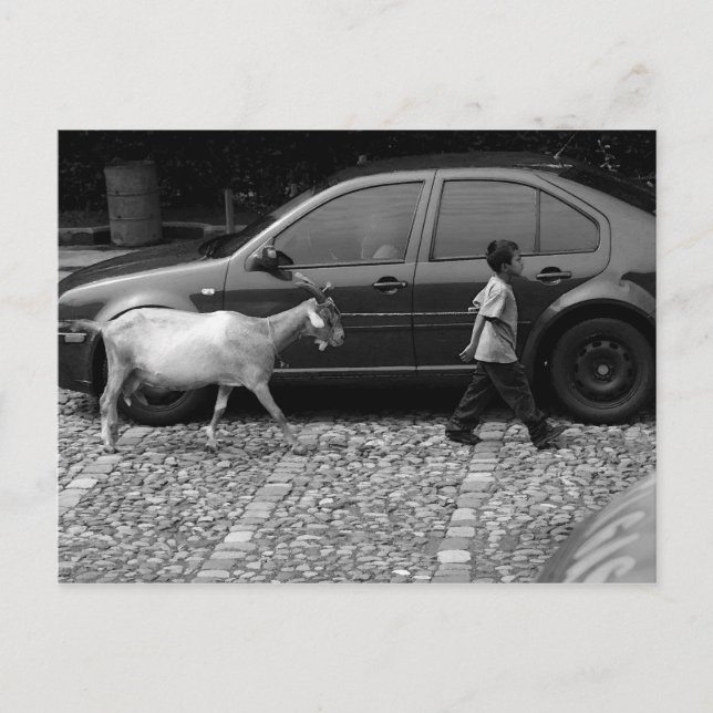 Carte Postale Garçon et chèvre, La Antigua Guatemala (Devant)