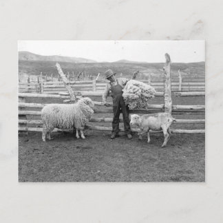 Carte Postale Garçon tenant un paquet de laine