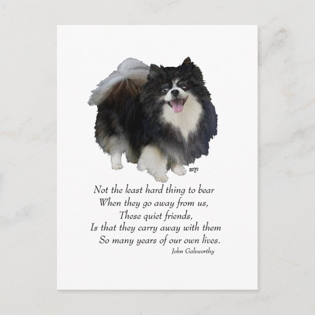 Carte Postale Garde de Pomeranian noir (Devant)