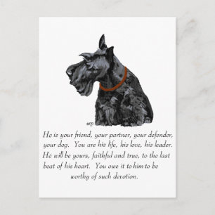 Carte Postale Garde de Terrier Écossais - Chien MÂLE