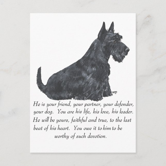 Carte Postale Garde de Terrier Écossais - Chien MÂLE (Devant)