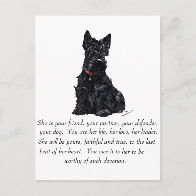 Carte Postale Garde-mémoire Terrier Écossais - FEMELLE (Devant)