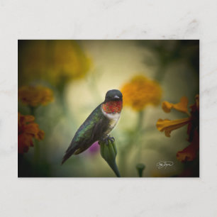 Carte Postale Garde permanente