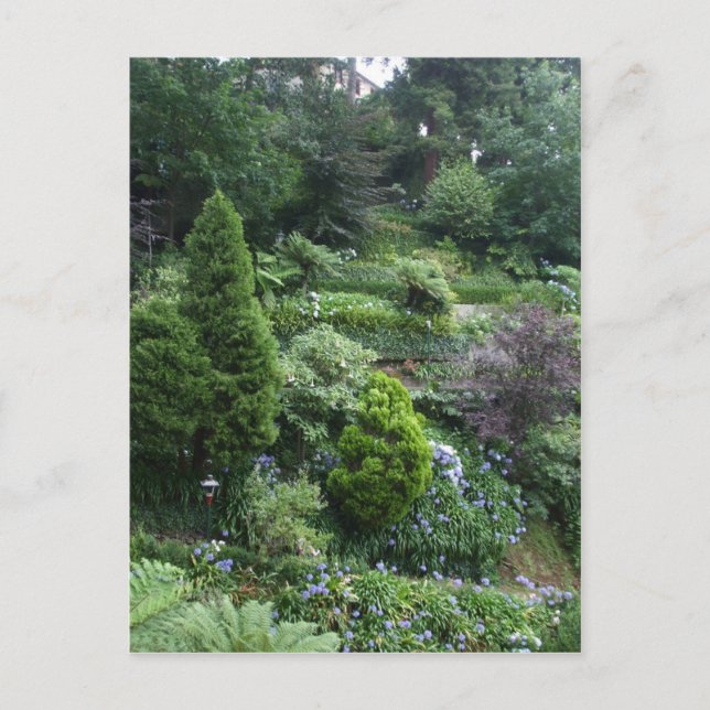 Carte postale Garden II (Devant)