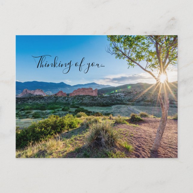 Carte postale Garden Of Gods Tree Sun Thinking Of  (Devant)