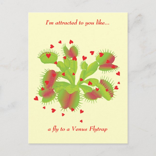 Carte Postale Gardener en amour (Devant)